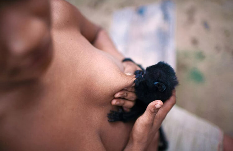 indian women breast feeding animals